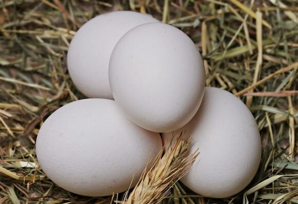 Диетата с яйца включва ежедневно ядене на пилешки яйца. 